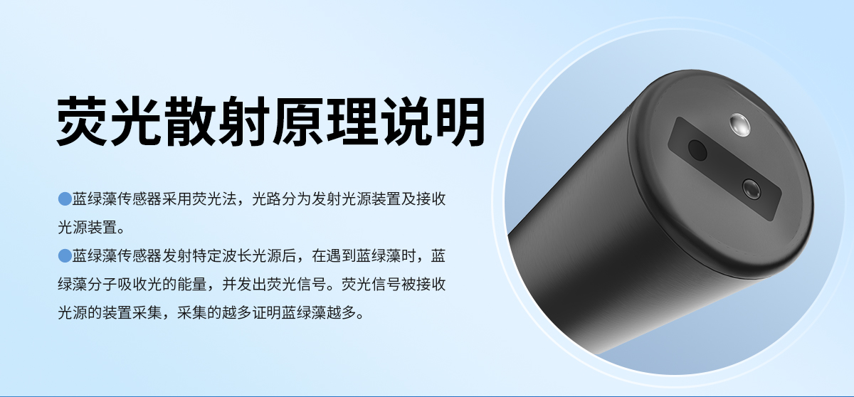 蓝绿藻变送器_03.jpg