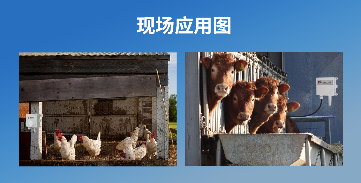 1c2cf02040f04b6a1a830bca945943c6.jpg 养殖场专用氨气(NH3)传感器_08.jpg