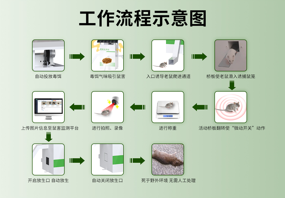 1cbf5f9e3e46d6e90dae8fa99d952cac.jpg 鼠害监测站_04.jpg