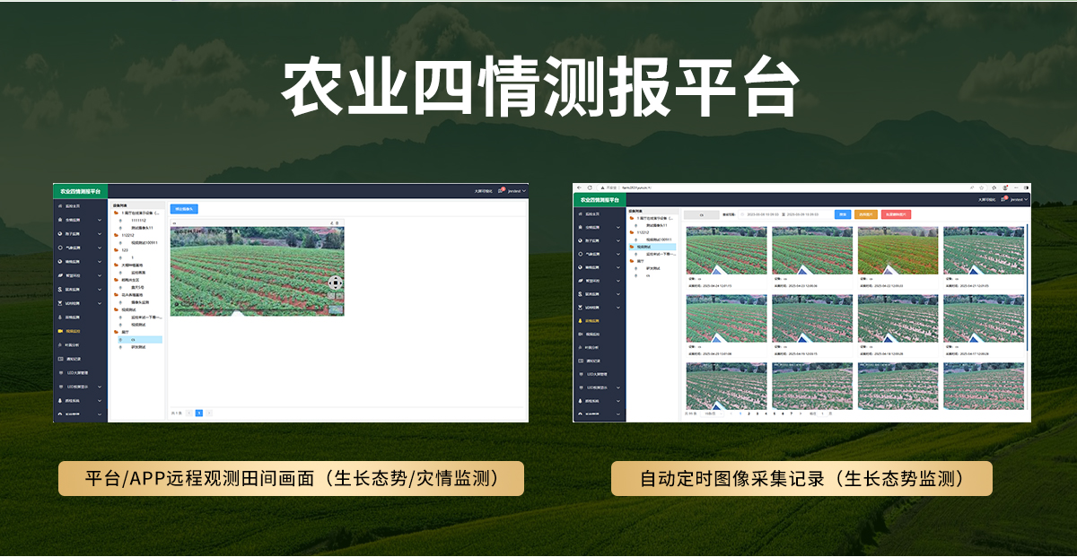 59168dec4492e9bce4d712855bc98ad3.jpg 苗情监测站_05.jpg