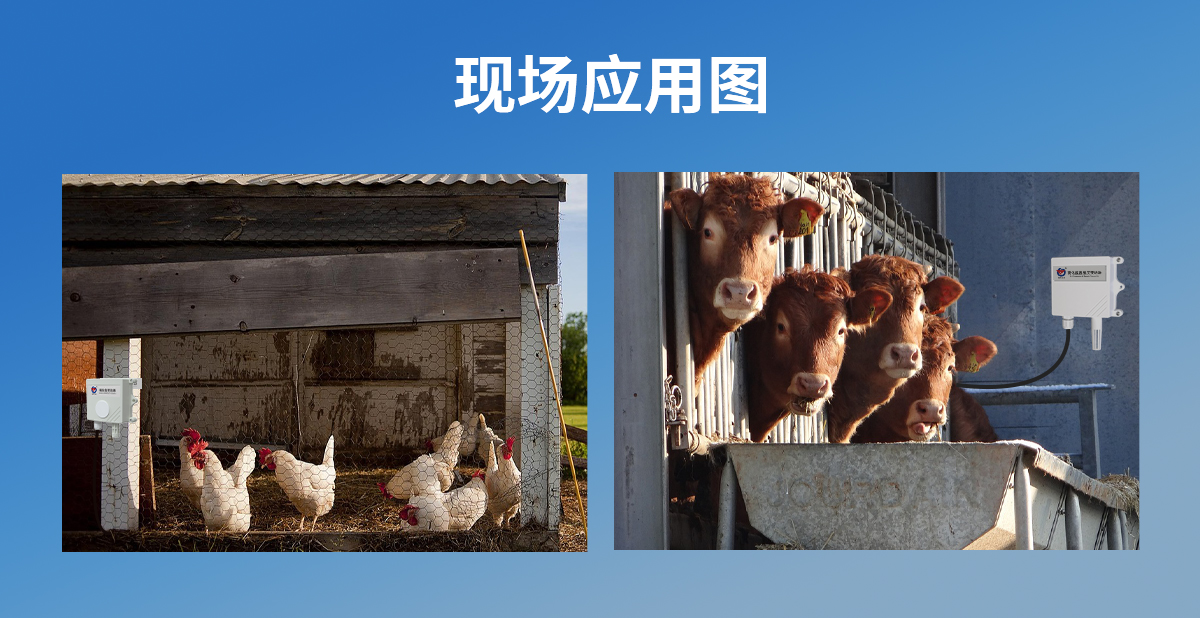 6283cb25a2aba24a3598a129ea2a083b.jpg 养殖专用硫化氢(H2S)传感器_08.jpg