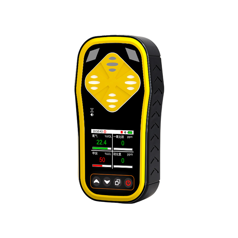 手持式气体检测仪