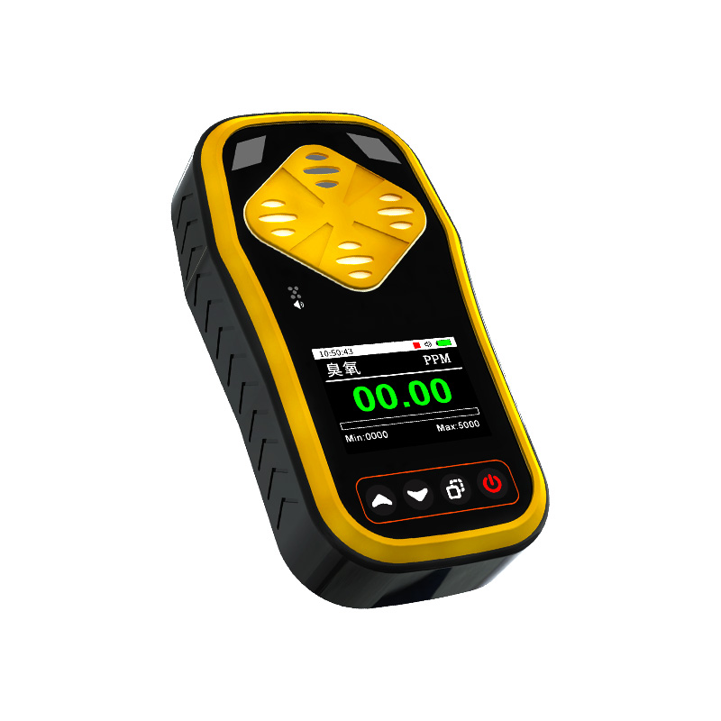 手持式气体检测仪
