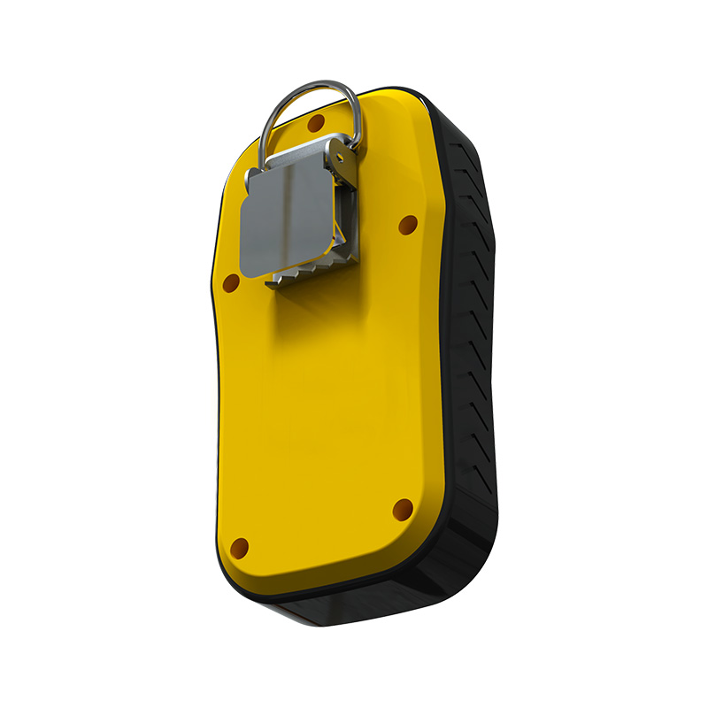 手持式气体检测仪