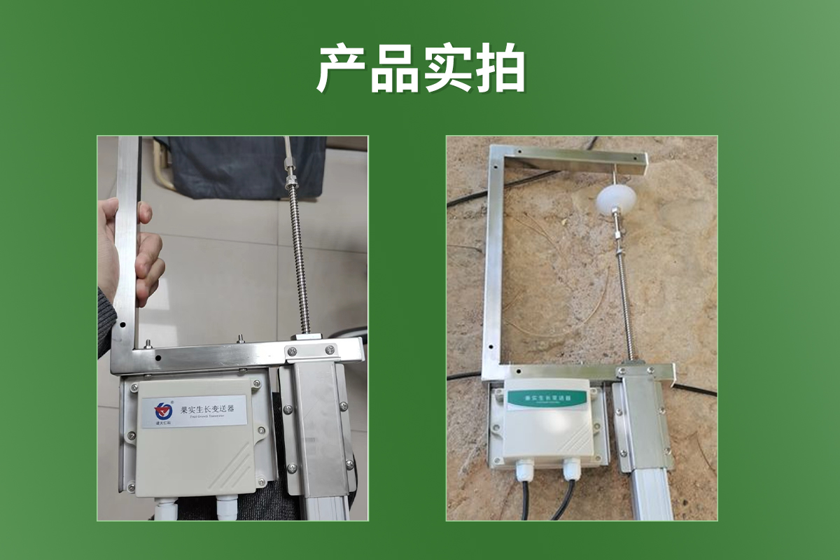 dbf2d3257a530c2c3ebbf586395cc7b5.jpg 果实生长变送器_03.jpg