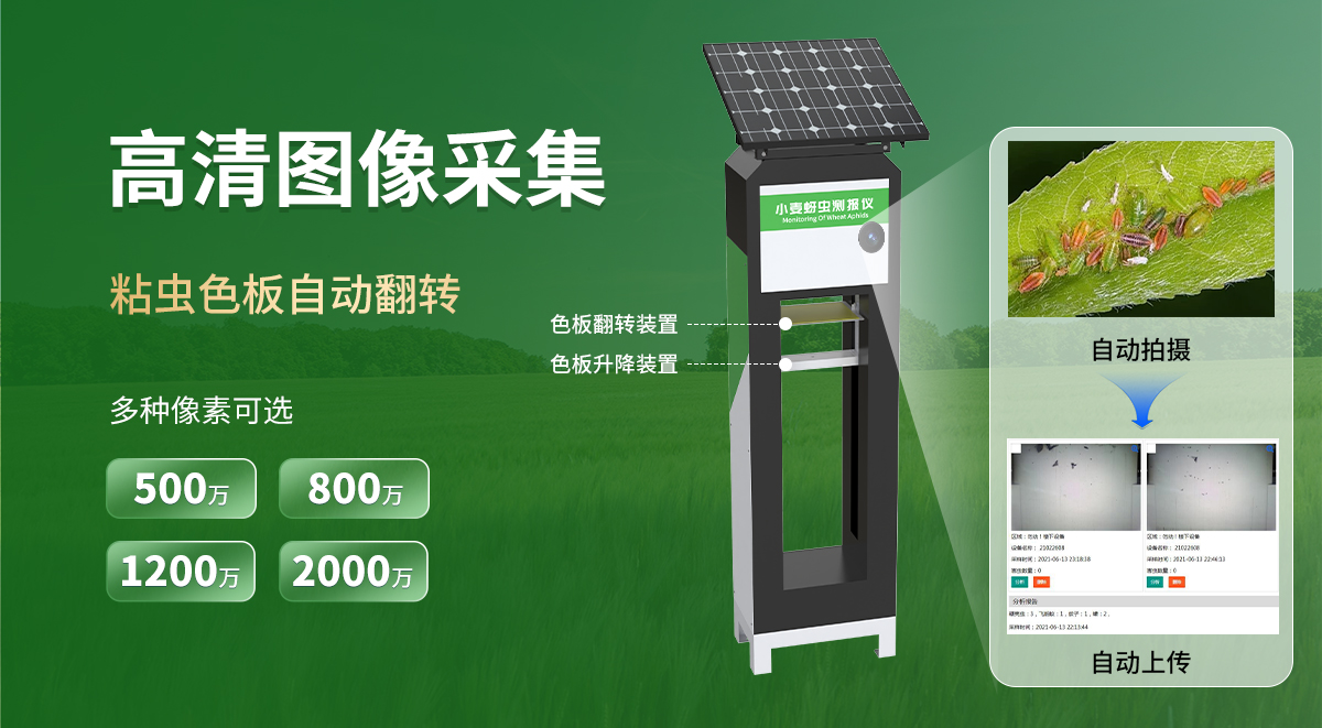 小麦蚜虫测报仪_05.jpg