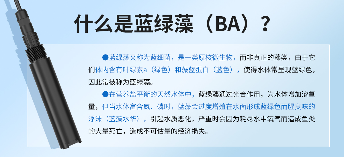 4176f9f901a6a59ce4fa46a7ab39b113.jpg 水质蓝绿藻变送器_02.jpg