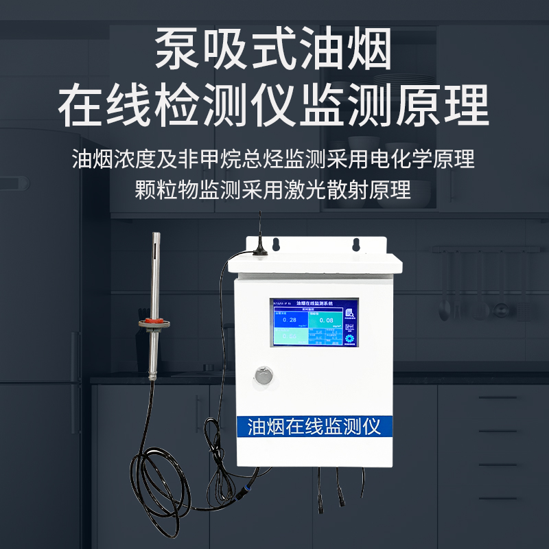 泵吸式油烟检测仪300系列